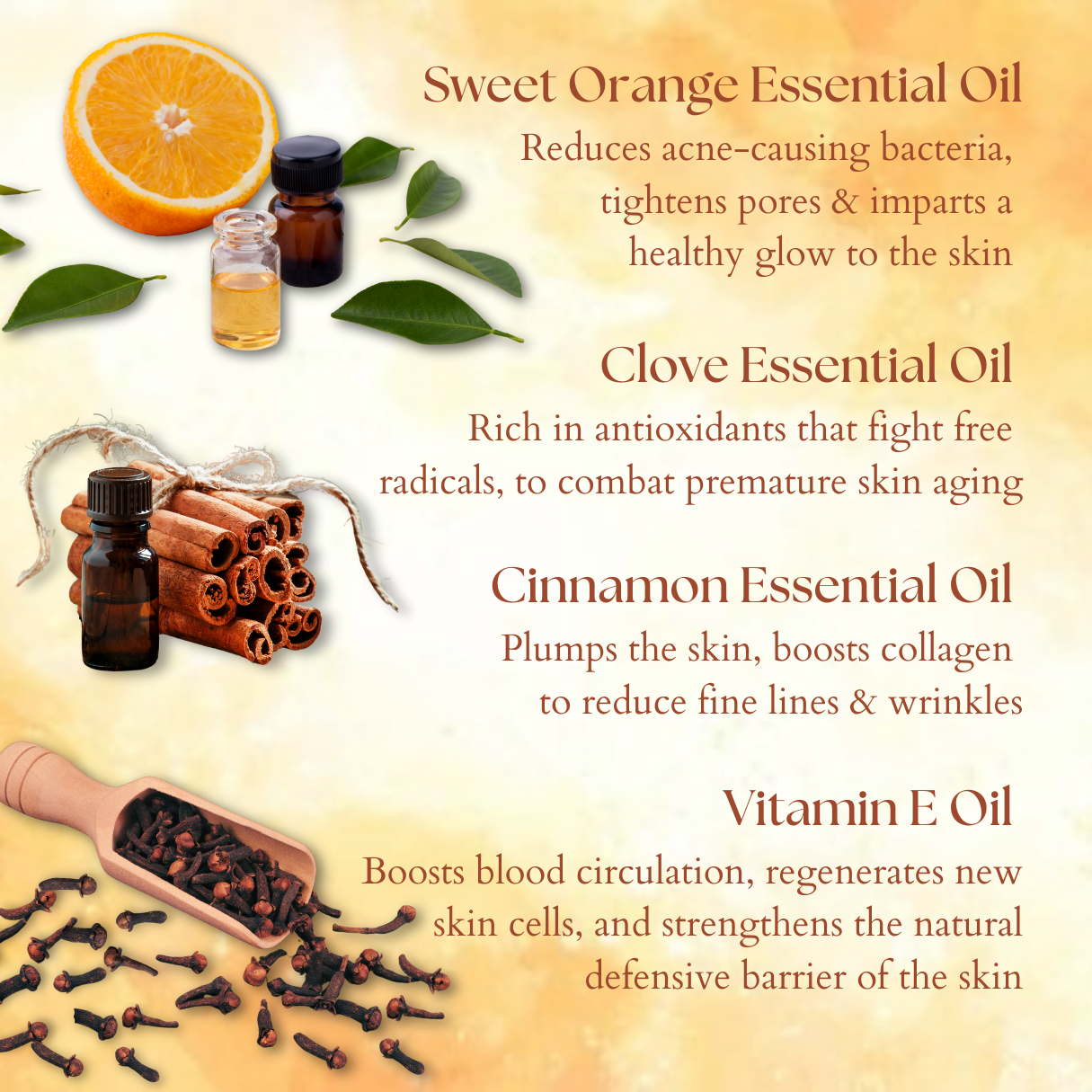 Orange & Clove Body Lotion - Image 3