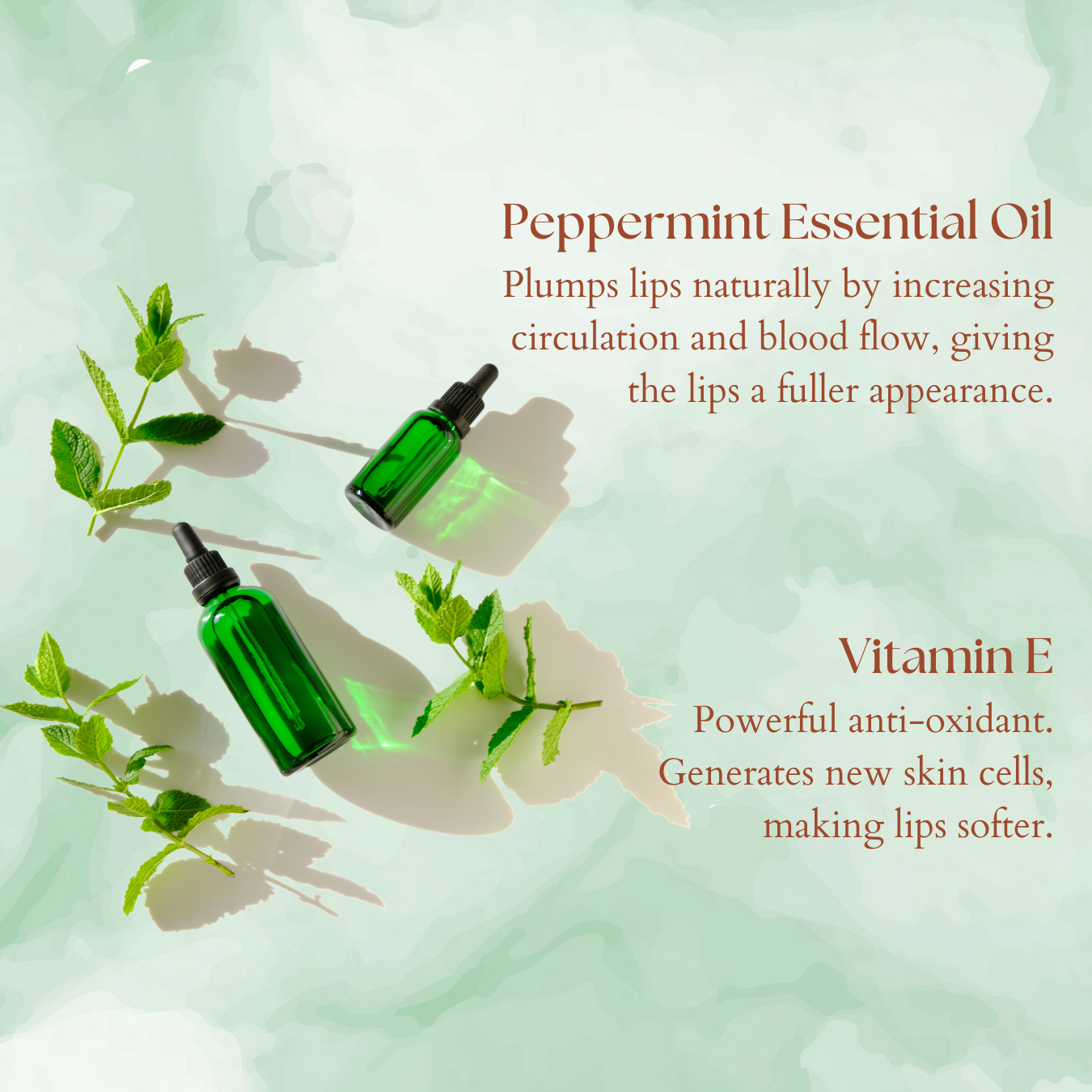 Peppermint (Cocoa Butter, Beeswax) Lipbalm - Image 3