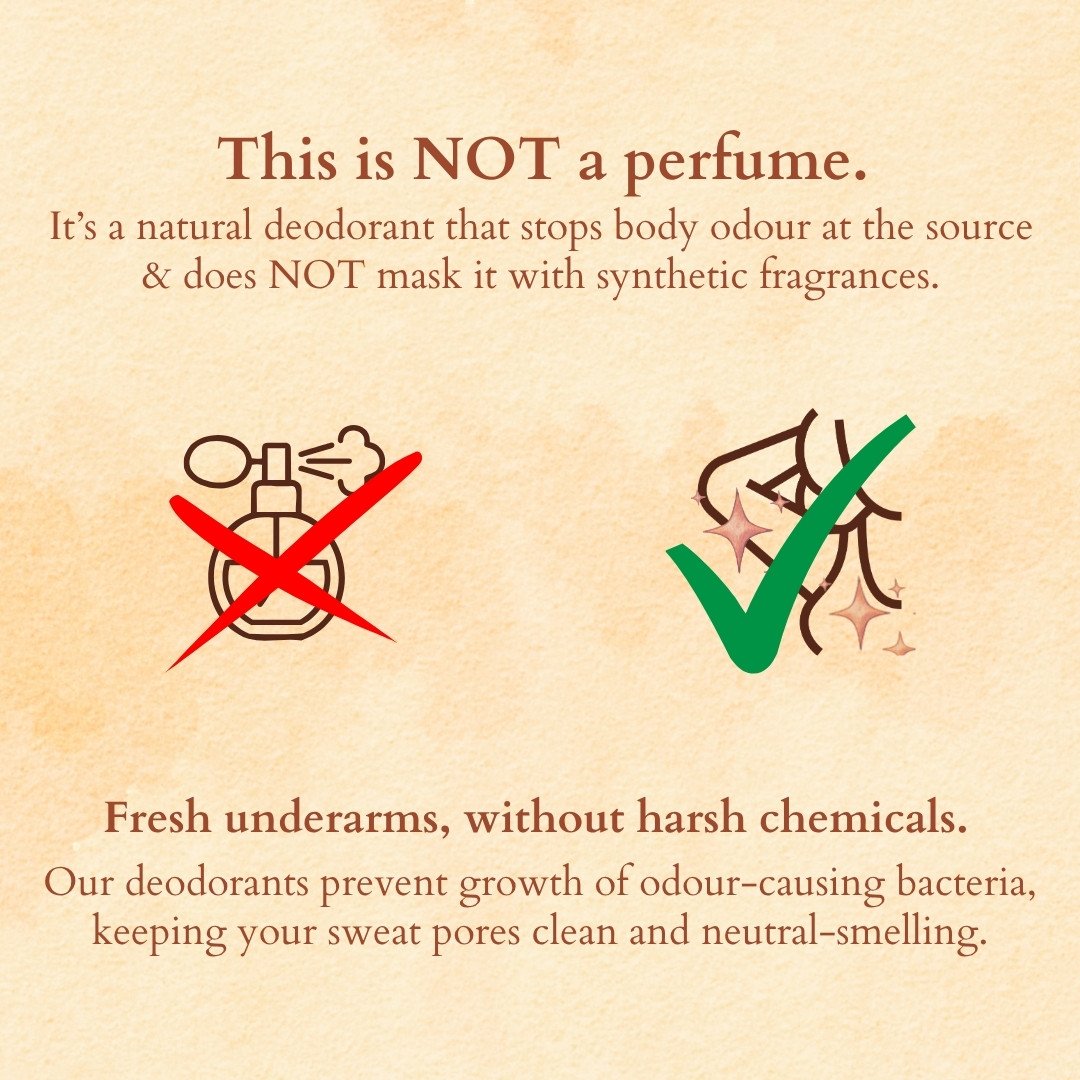 Mystic Sandalwood Roll-On Deodorant - Image 6